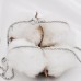Sidabrinė grandinėlė "Bead" 40 cm Sidabrinė grandinėlė "Bead" 40 cm
