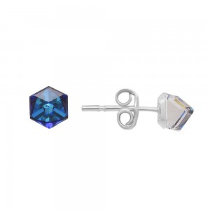 Sidabriniai auskarai su Swarovski 190S34